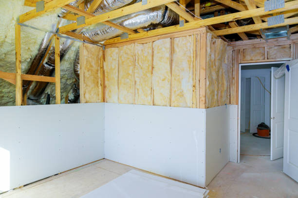 Best Basement Insulation  in Caldwell, ID